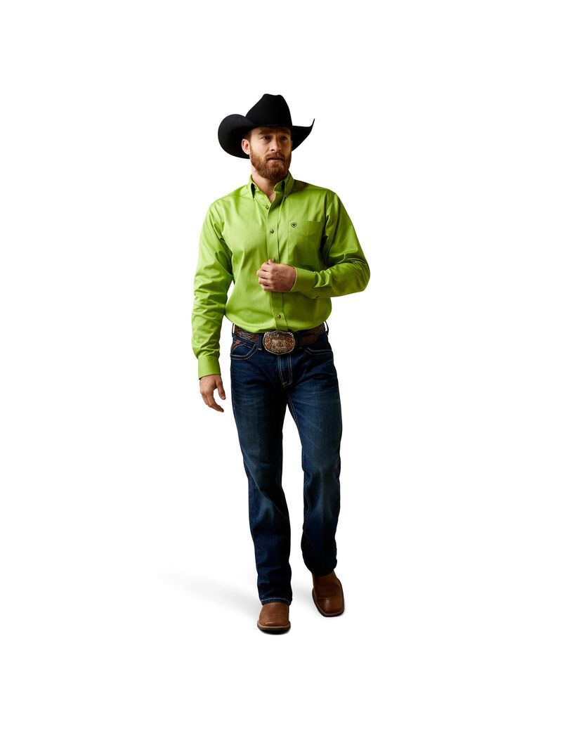 Chemises De Costume Ariat Team Logo Twill Fitted Vert Homme | SOZ-24669321