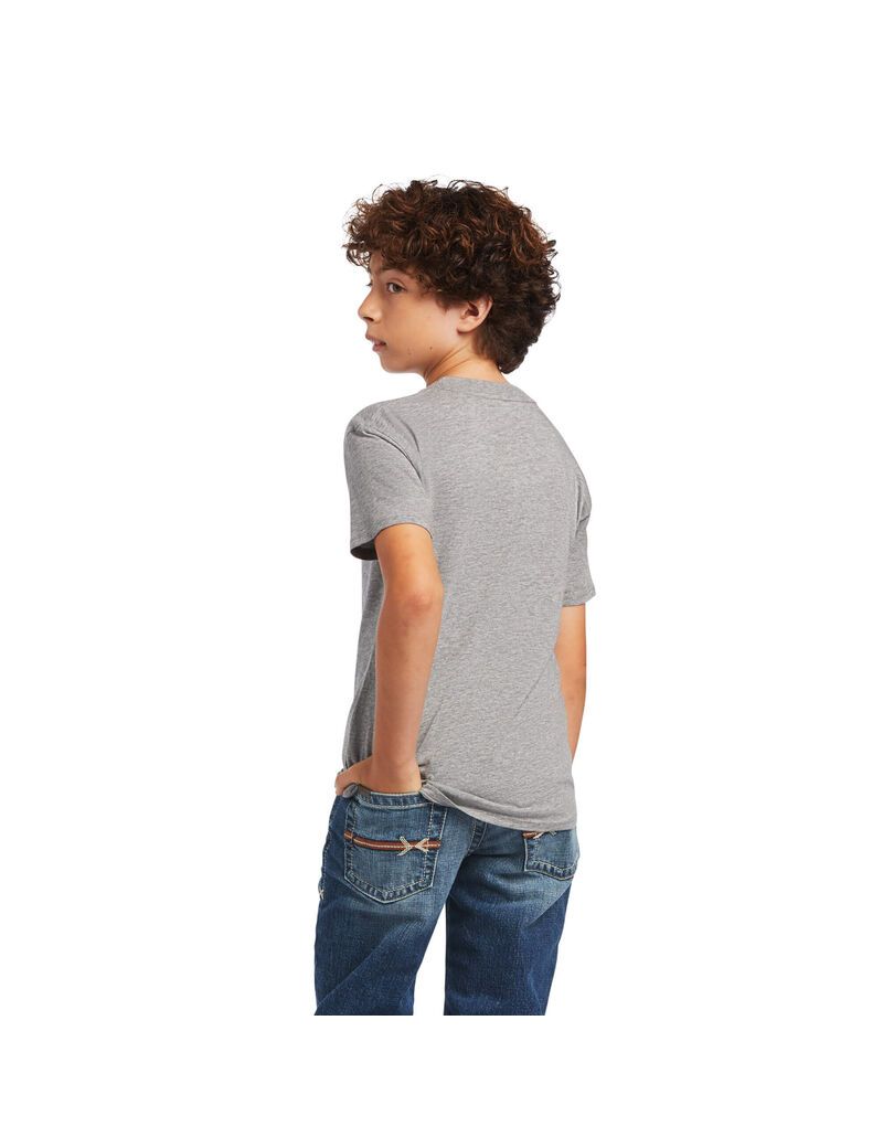 T Shirts Ariat Rope Shield Multicolore Enfant | ODX-19307455