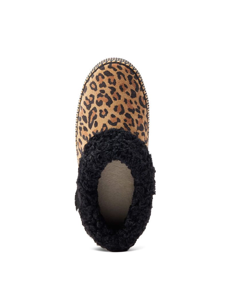 Chaussons Ariat Melody Leopard Femme | JMN-87842153