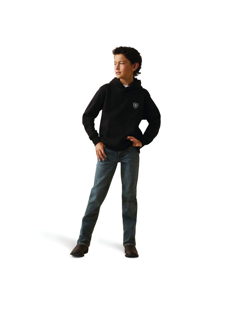 Sweat à Capuche Ariat Americana Block Noir Enfant | TUK-28621906