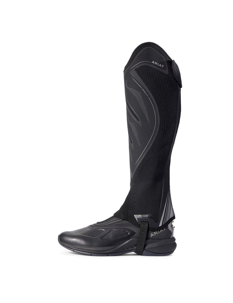 Bottes D'équitation Ariat Ascent Half Chap Noir Homme | JCO-66425868