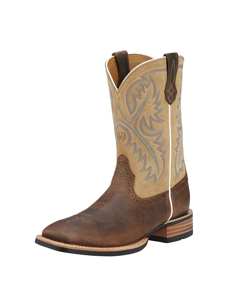 Bottes Western Ariat Quickdraw Multicolore Homme | RMK-32769310