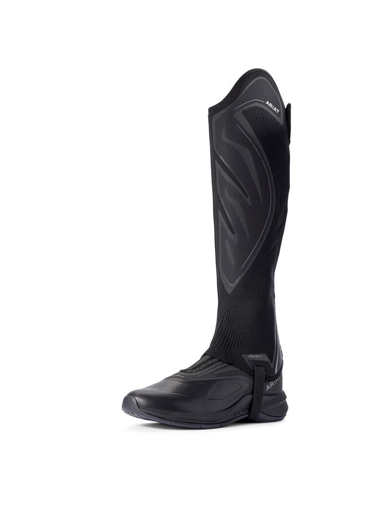 Bottes D'équitation Ariat Ascent Half Chap Noir Homme | JCO-66425868