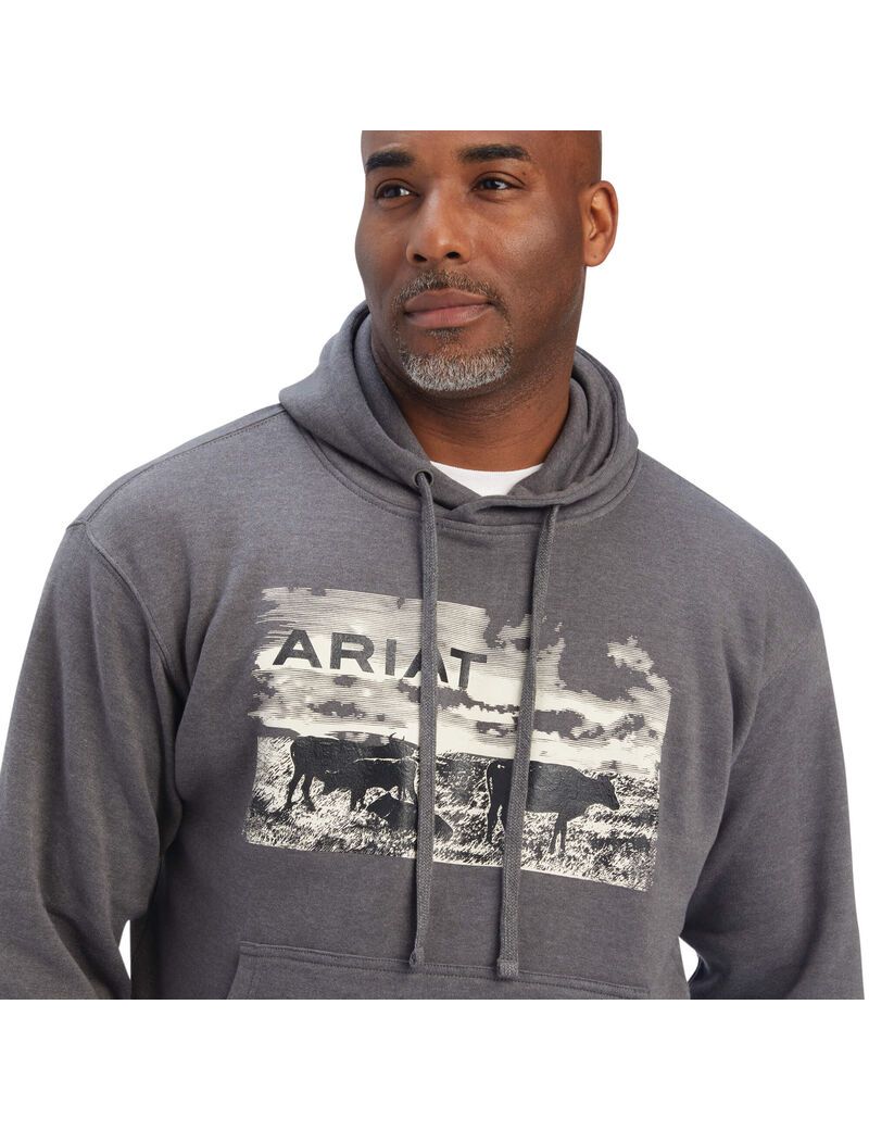 Sweats Ariat Pastures Grise Homme | LCV-20728416