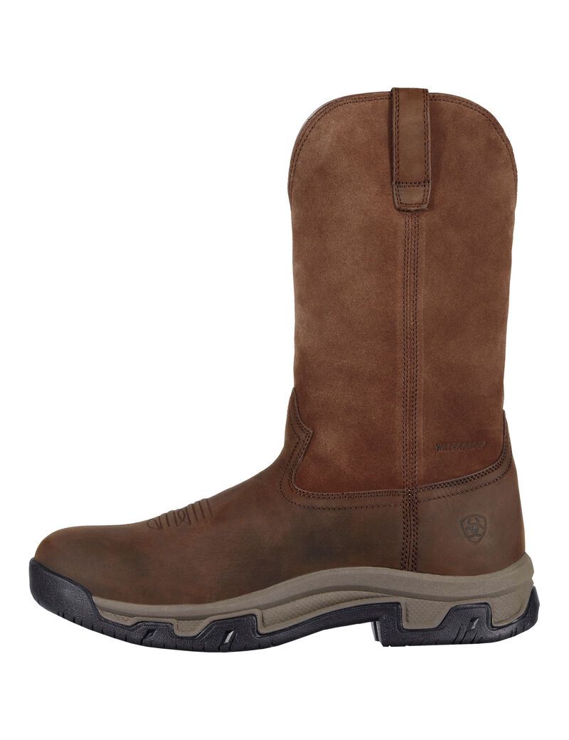 Bottes D'équitation Ariat Terrain Pull On Imperméables Marron Homme | HJG-42440904