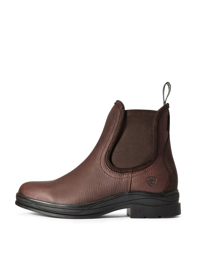 Bottes D'équitation Ariat Keswick Imperméables Marron Foncé Femme | RIT-87932176