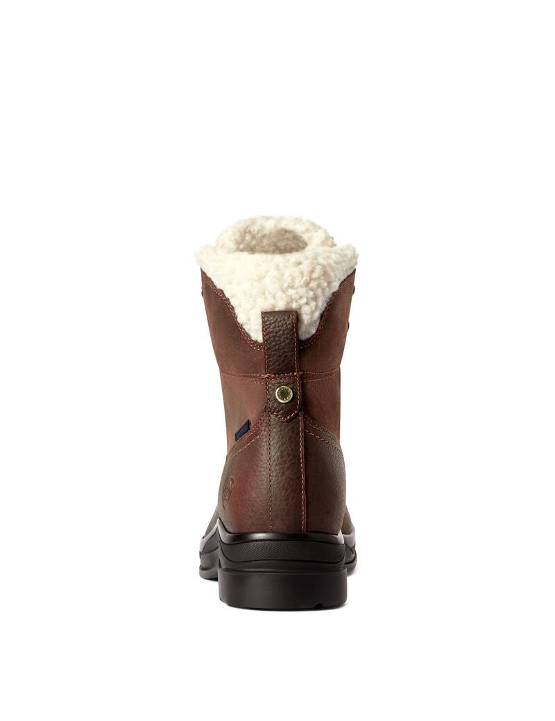 Bottes D'équitation Ariat Harper Imperméables Marron Foncé Femme | JYS-46511005