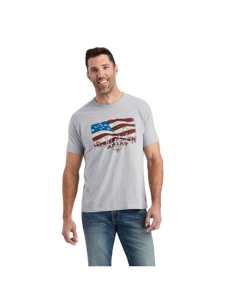 T Shirts Ariat Flagscape Multicolore Homme | RXT-77944353