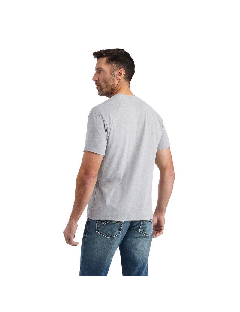 T Shirts Ariat Flagscape Multicolore Homme | RXT-77944353