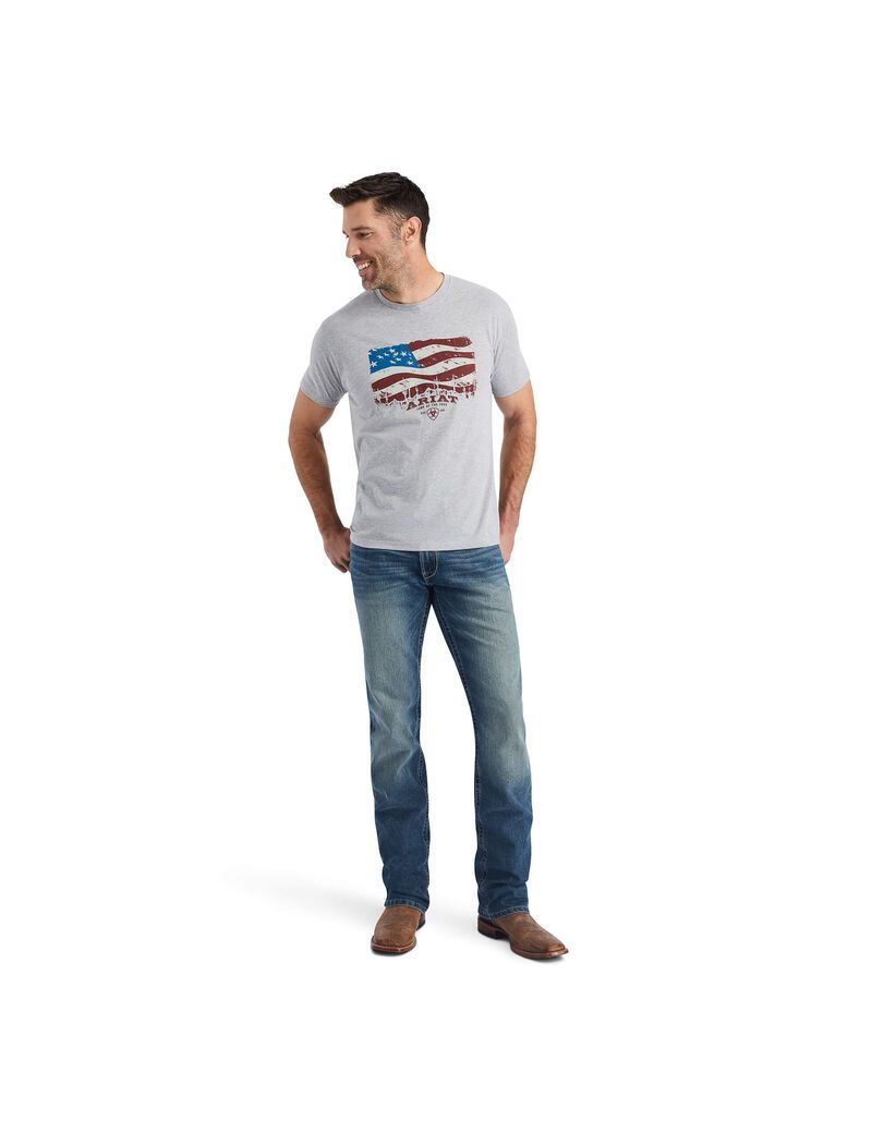 T Shirts Ariat Flagscape Multicolore Homme | RXT-77944353