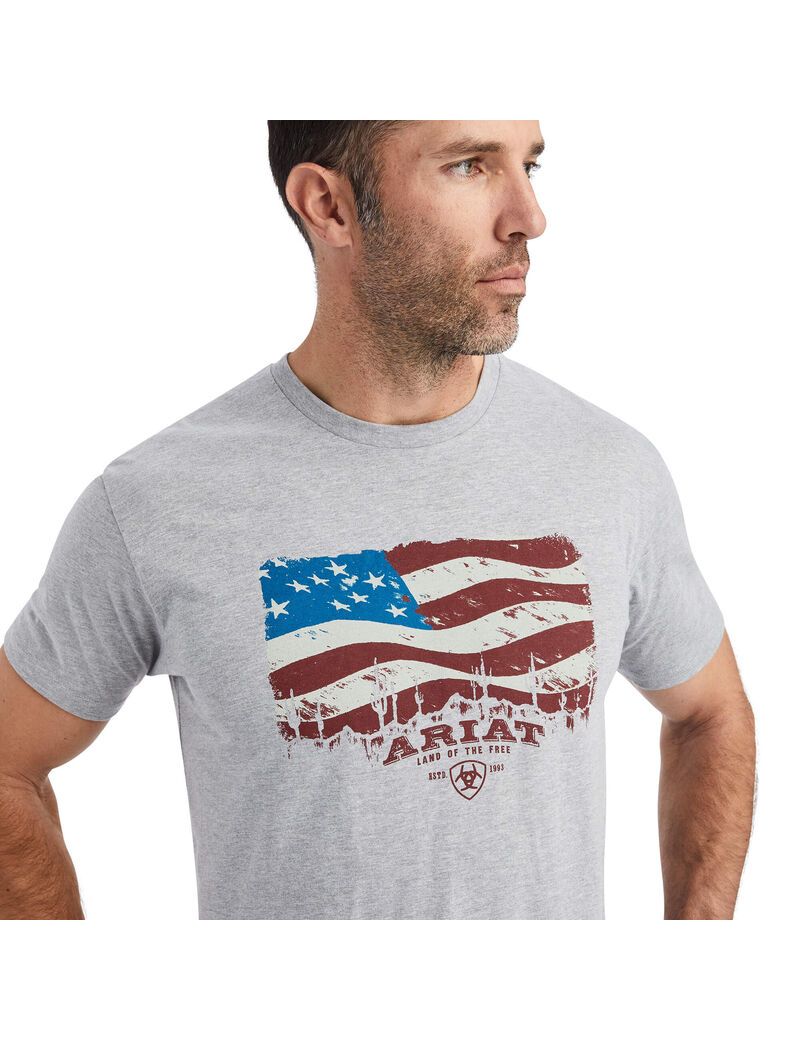 T Shirts Ariat Flagscape Multicolore Homme | RXT-77944353