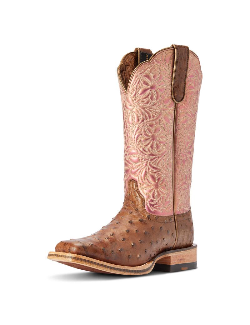 Bottes Western Ariat Donatella Chocolat Femme | NOQ-04965121