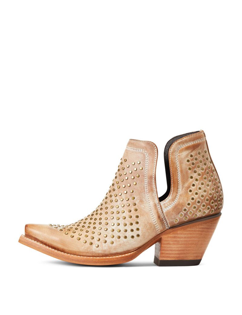 Bottines Ariat Dixon Studs Western Marron Femme | YTG-92799558