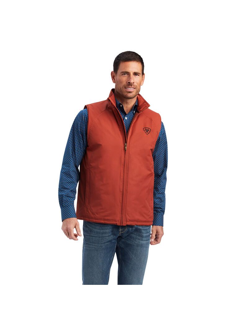 Gilet Ariat Team Logo Insulated Marron Homme | PCG-86444969