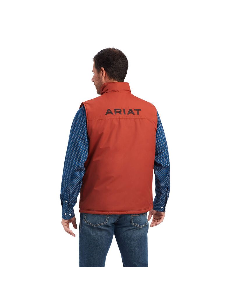 Gilet Ariat Team Logo Insulated Marron Homme | PCG-86444969