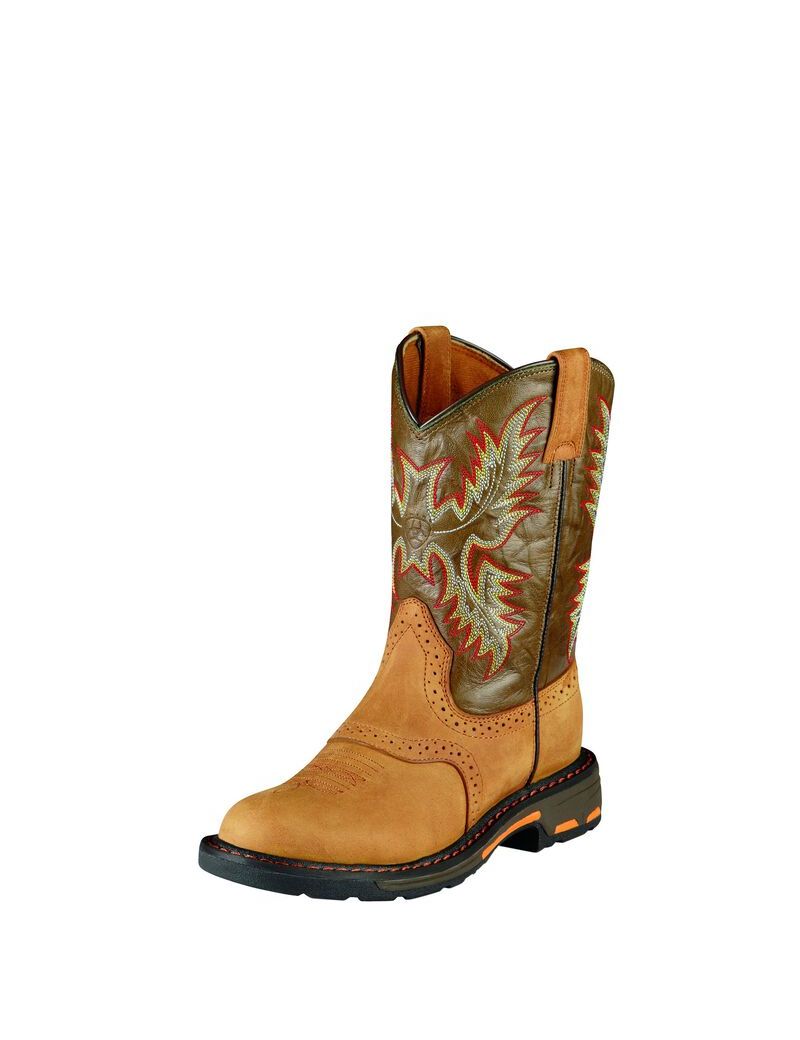 Bottes Western Ariat Workhog Pull On Multicolore Enfant | IRD-06866151