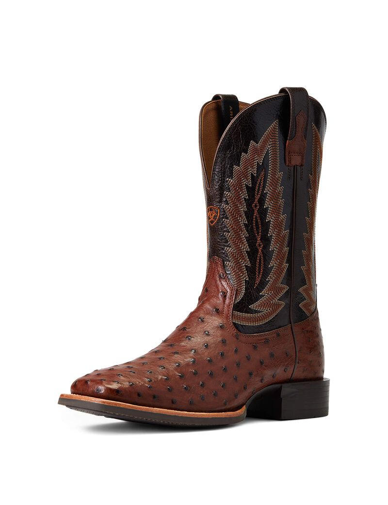 Bottes Western Ariat Quantum Primo Multicolore Homme | JLH-88625293