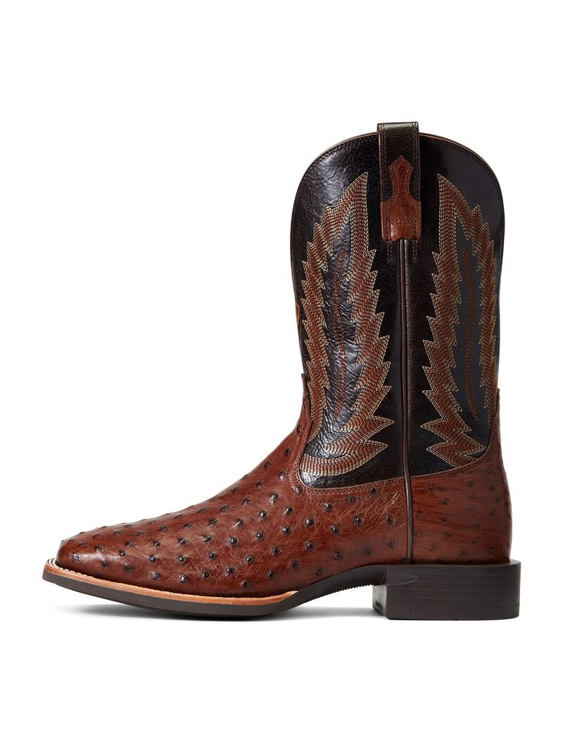 Bottes Western Ariat Quantum Primo Multicolore Homme | JLH-88625293