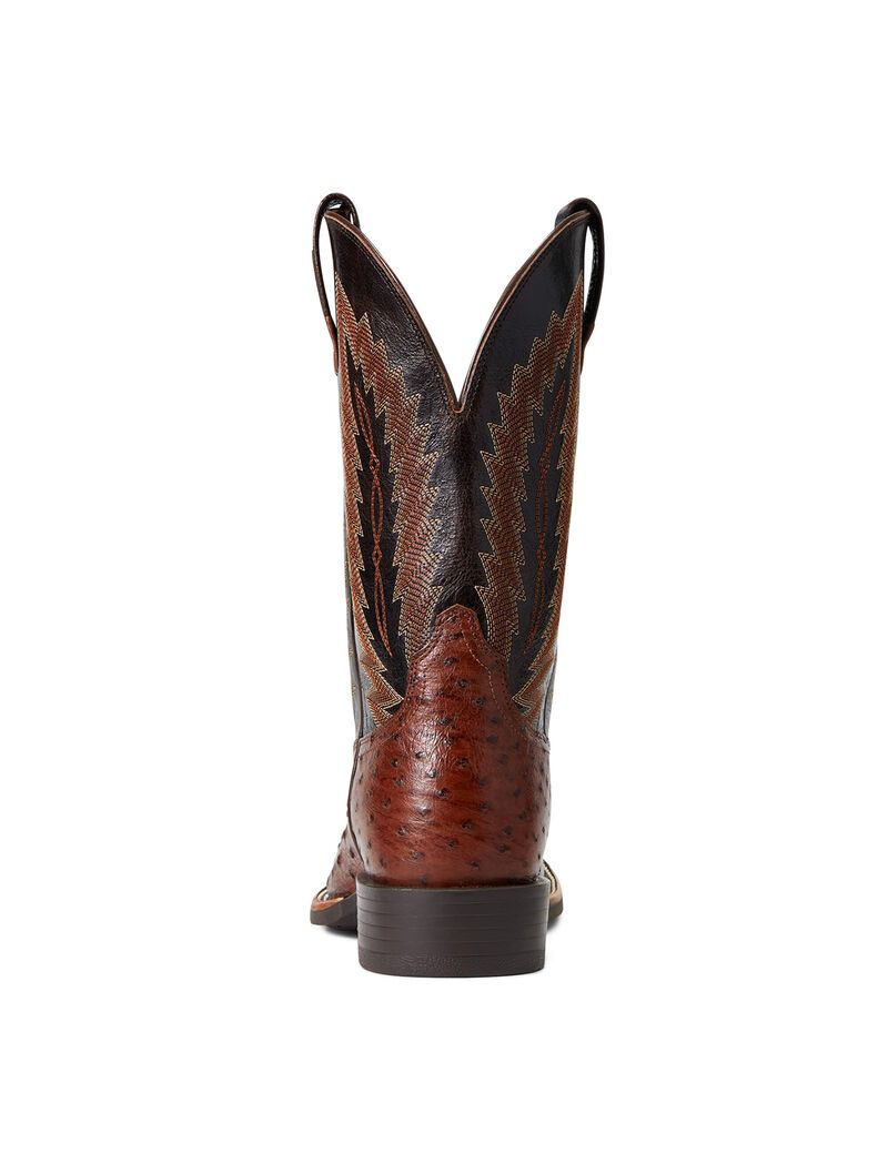 Bottes Western Ariat Quantum Primo Multicolore Homme | JLH-88625293