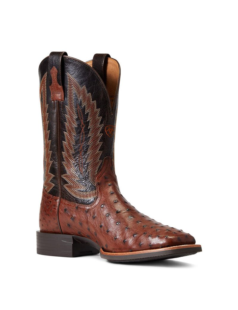 Bottes Western Ariat Quantum Primo Multicolore Homme | JLH-88625293