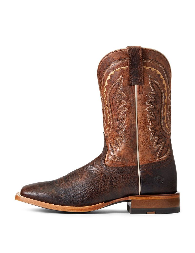 Bottes Western Ariat Parada Multicolore Homme | FJB-28593559