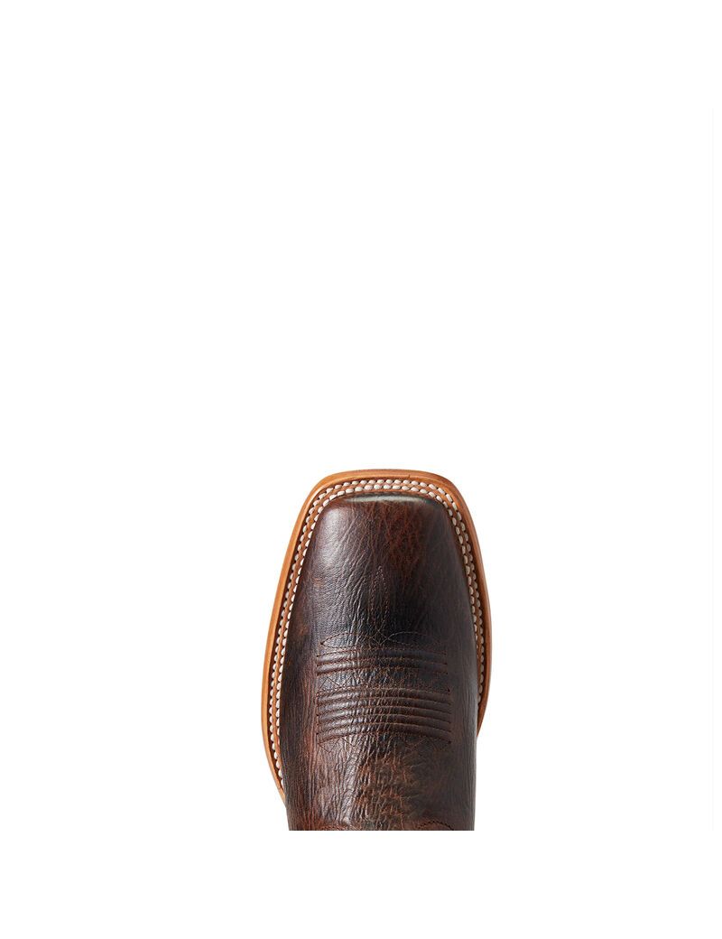 Bottes Western Ariat Parada Multicolore Homme | FJB-28593559