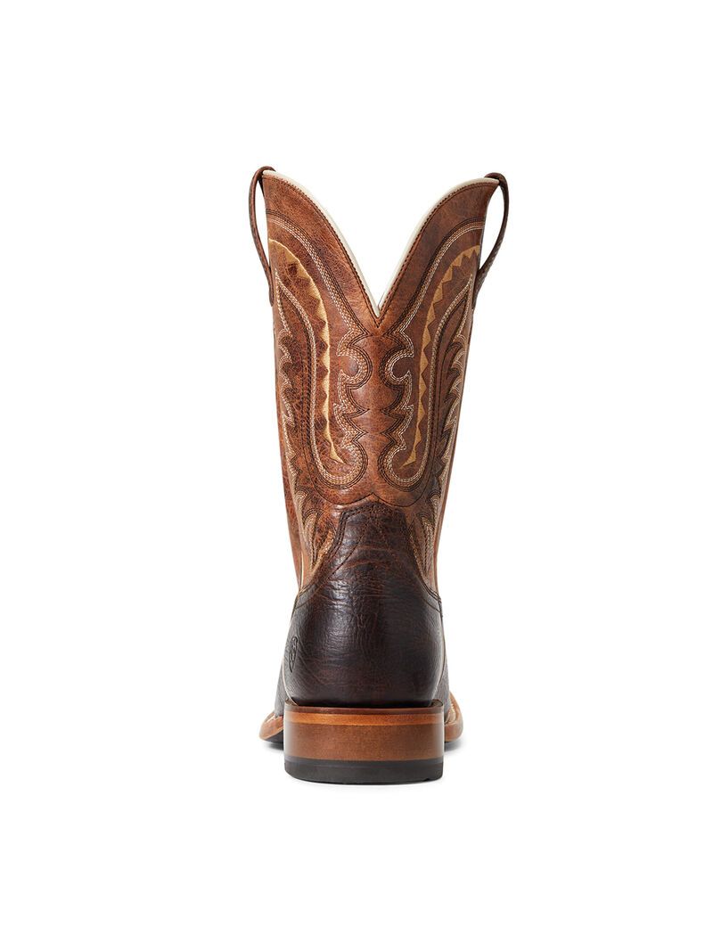 Bottes Western Ariat Parada Multicolore Homme | FJB-28593559