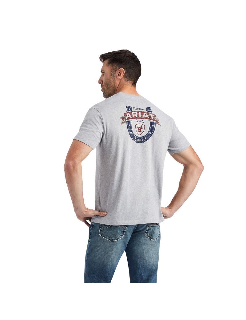 T Shirts Ariat Lucky Horseshoe Grise Homme | KJU-13524755