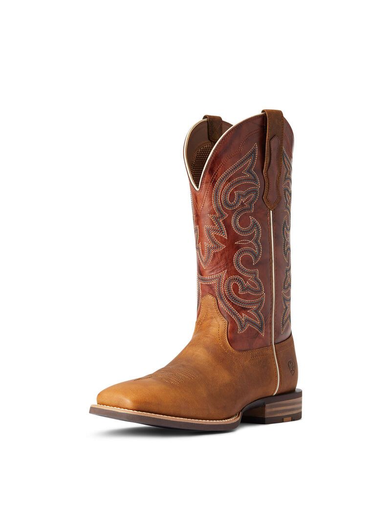 Bottes Western Ariat Everlite Go Getter Multicolore Homme | SVF-25875569