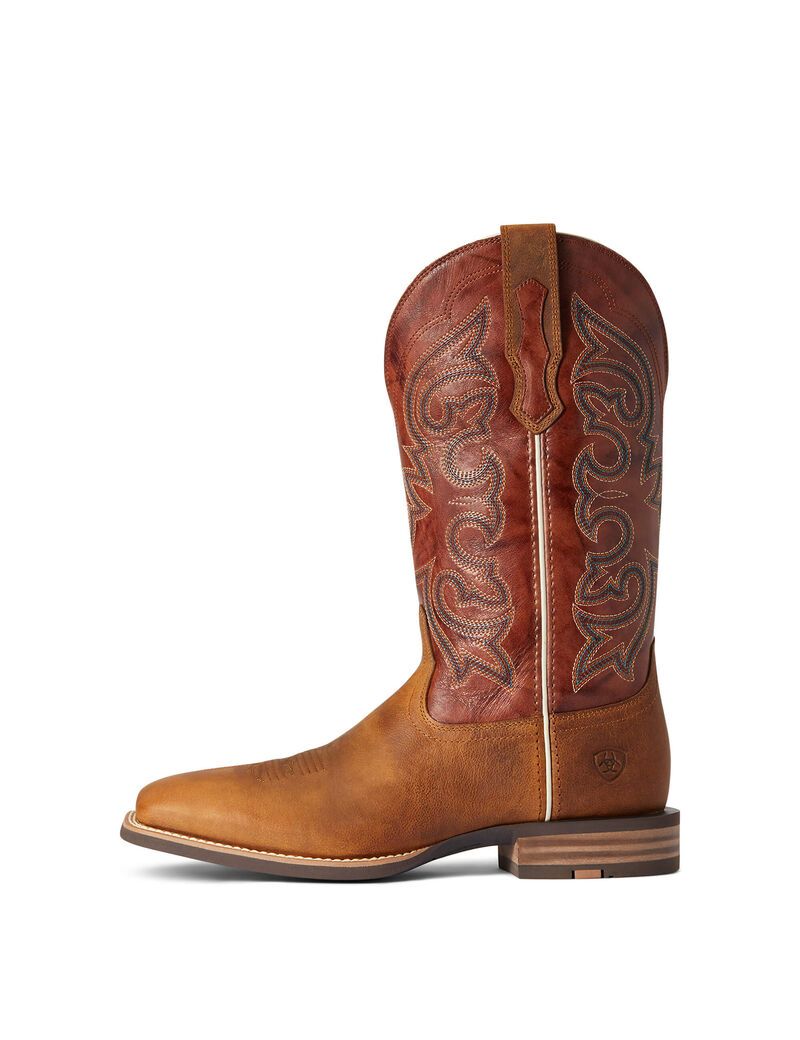 Bottes Western Ariat Everlite Go Getter Multicolore Homme | SVF-25875569