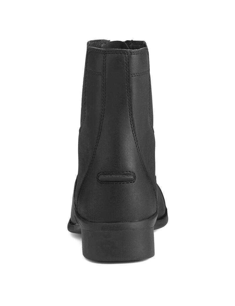 Bottes D'équitation Ariat Scout Zip Paddock Noir Femme | FIX-96914254