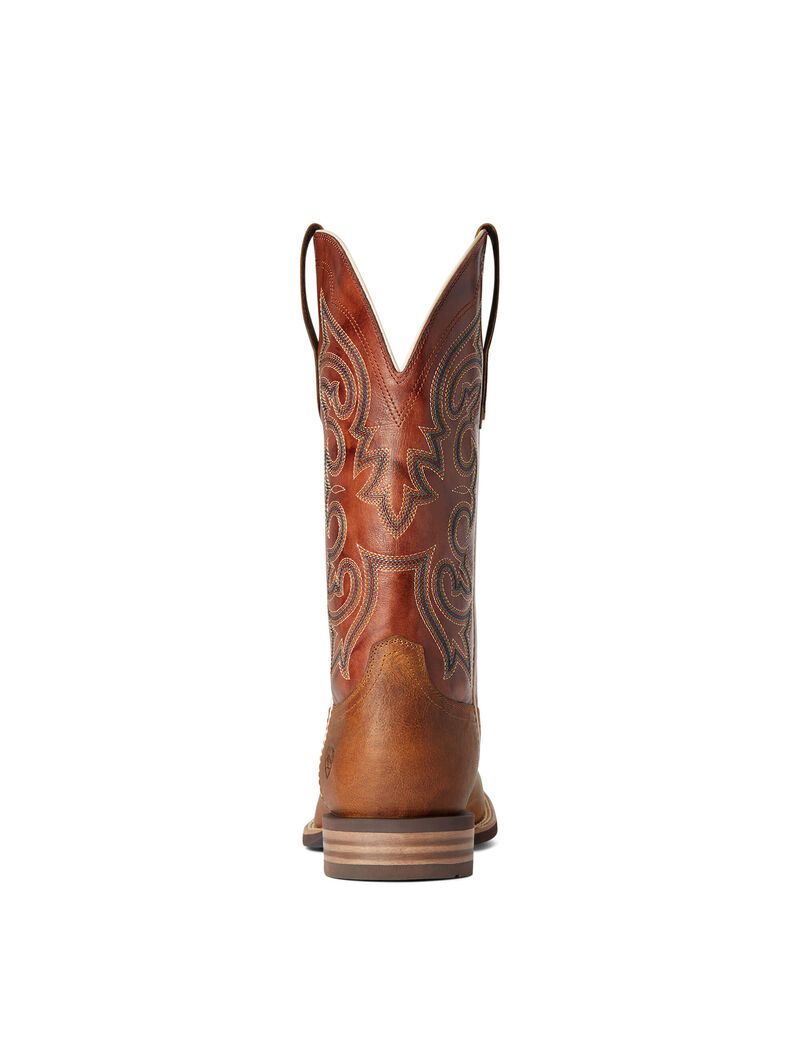 Bottes Western Ariat Everlite Go Getter Multicolore Homme | SVF-25875569