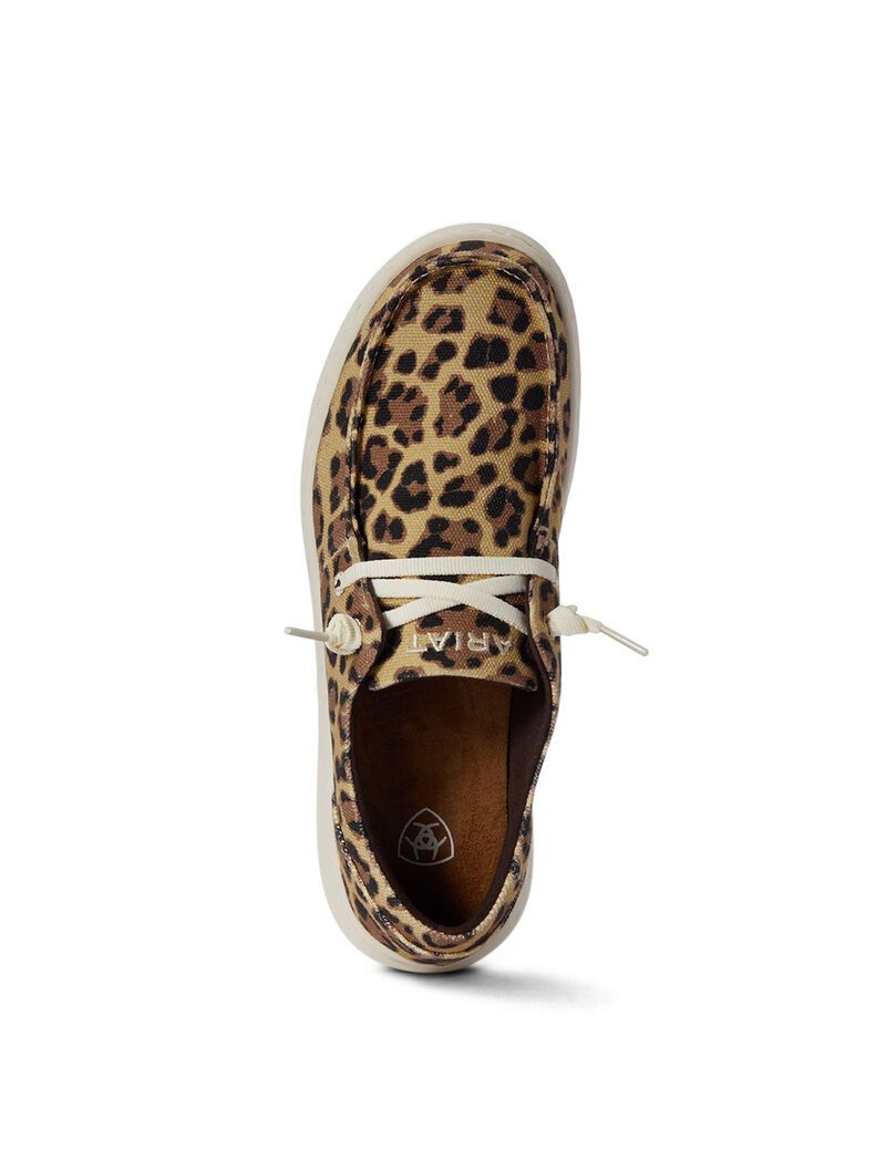 Baskets Ariat Hilo Leopard Femme | PZO-40357560