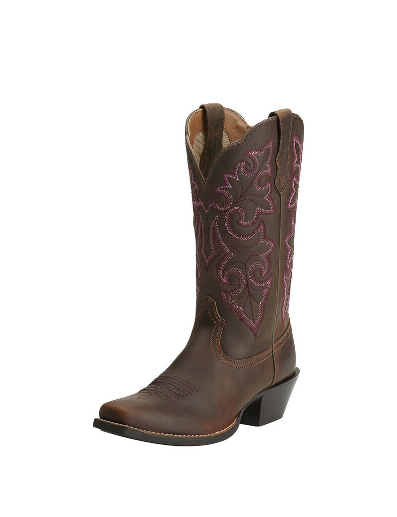 Bottes Western Ariat Round Up Square Embout Marron Femme | KJS-86497253