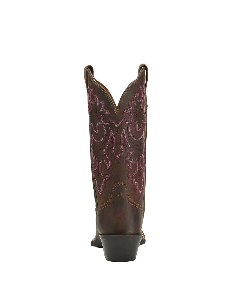 Bottes Western Ariat Round Up Square Embout Marron Femme | KJS-86497253