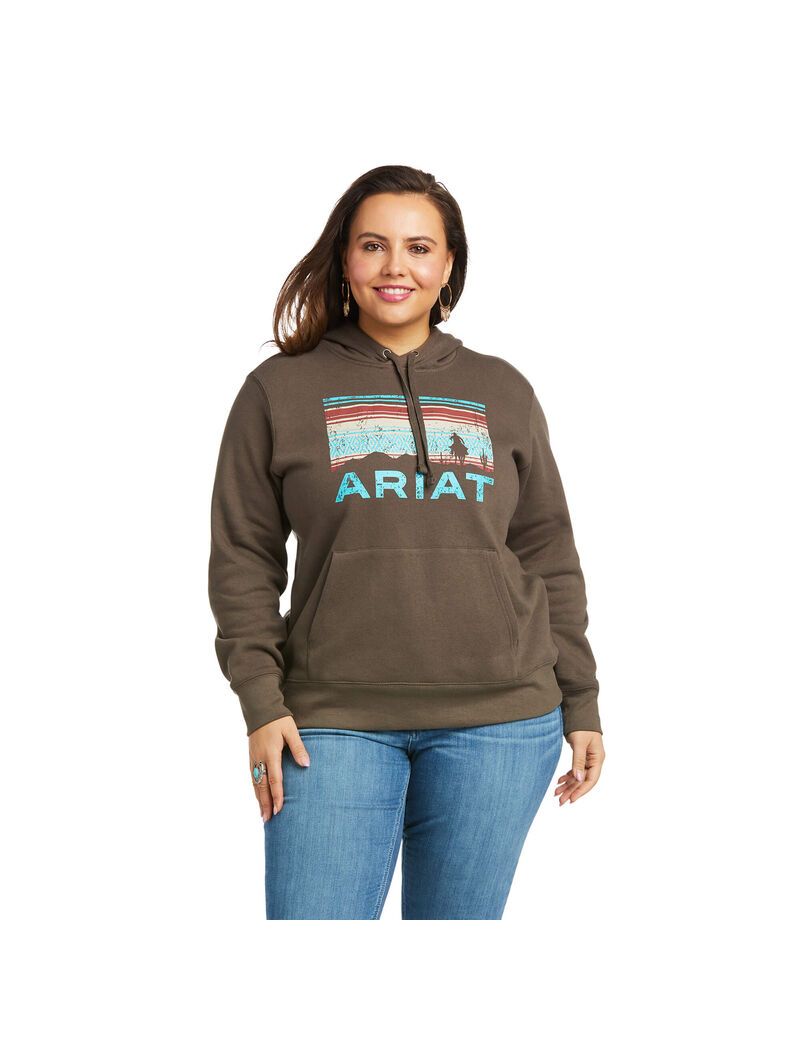 Sweat à Capuche Ariat REAL Arm Logo Multicolore Femme | HHG-04741908