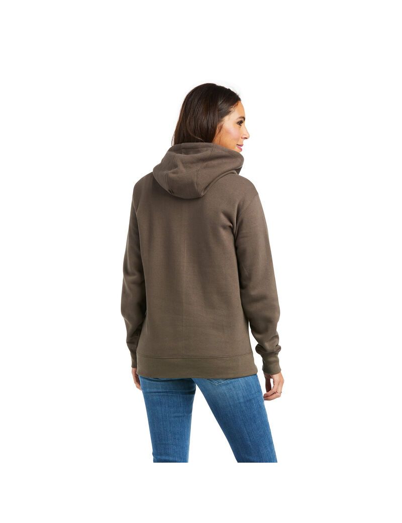 Sweat à Capuche Ariat REAL Arm Logo Multicolore Femme | HHG-04741908