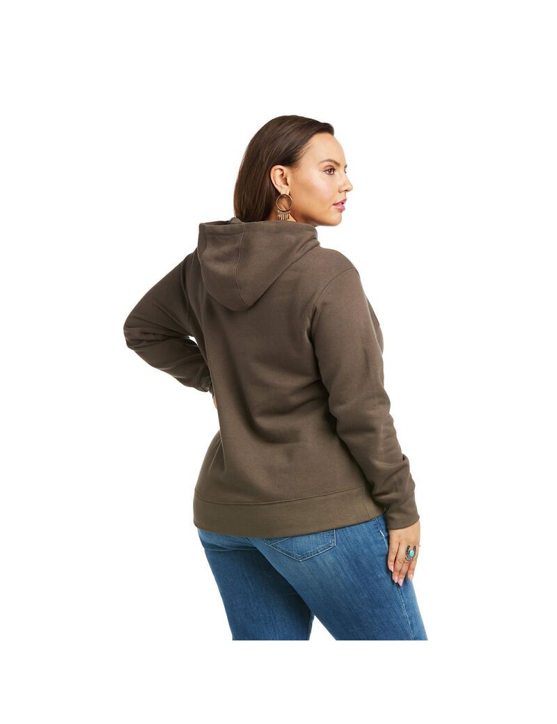 Sweat à Capuche Ariat REAL Arm Logo Multicolore Femme | HHG-04741908