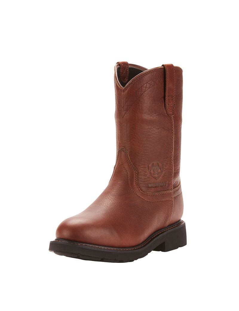 Bottes de Travail Ariat Sierra Imperméables Multicolore Homme | RST-36184197