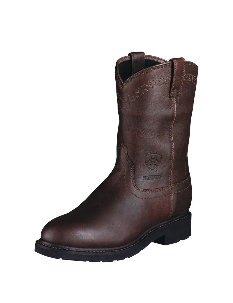 Bottes de Travail Ariat Sierra Imperméables Multicolore Homme | RST-36184197