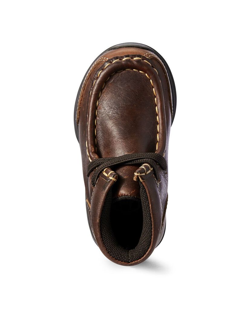 Chaussures Casual Ariat Toddler Lil' Stompers Garrison Spitfire Marron Enfant | TEZ-98836740