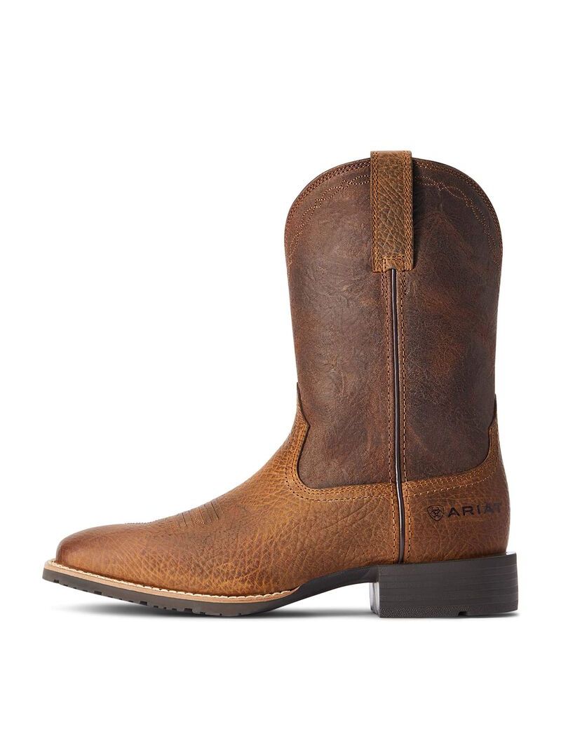 Bottes Western Ariat Hybride Grit Multicolore Homme | RLM-08638612