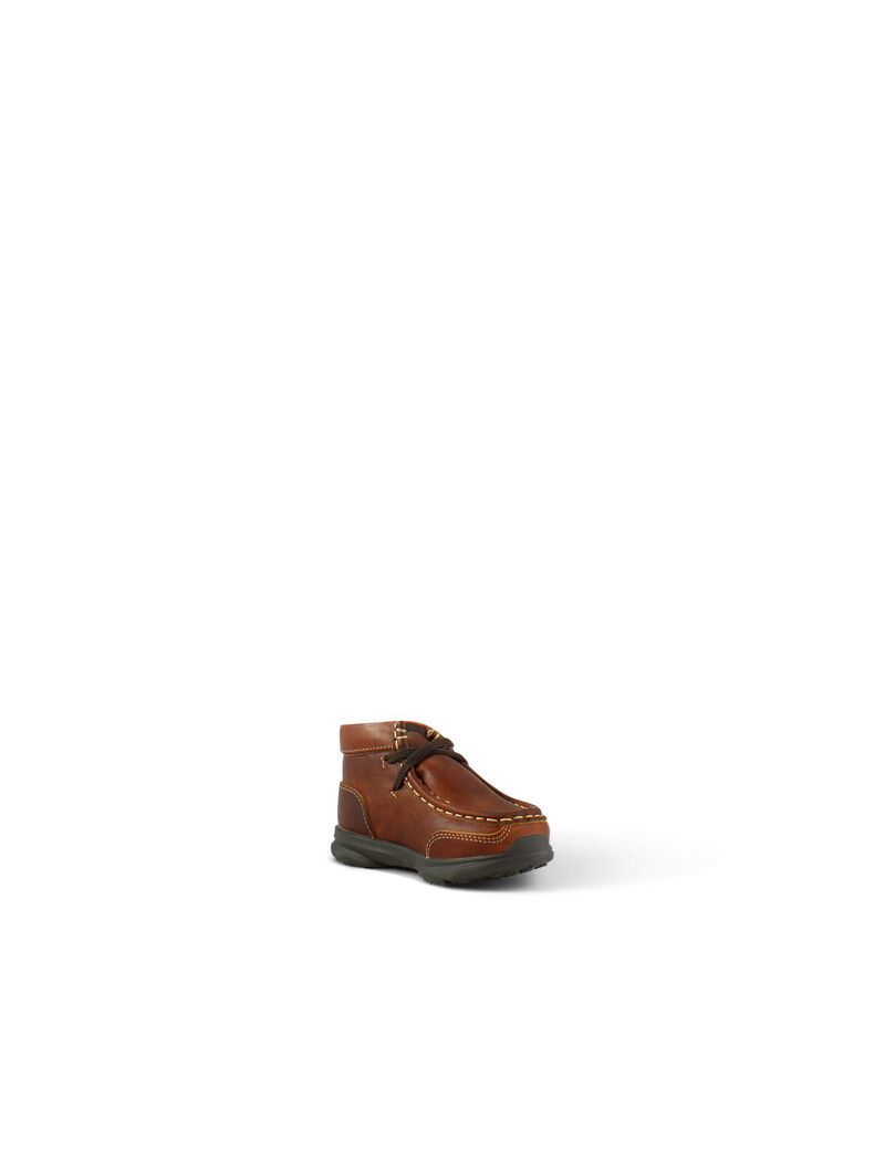 Chaussures Casual Ariat Toddler Lil' Stompers Garrison Spitfire Marron Enfant | TEZ-98836740