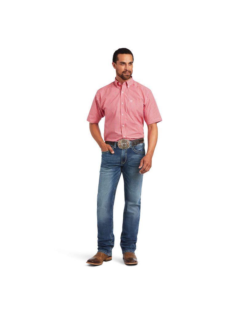 Chemises De Costume Ariat Pro Series Fox Classiche Fit Multicolore Homme | HHK-68545611