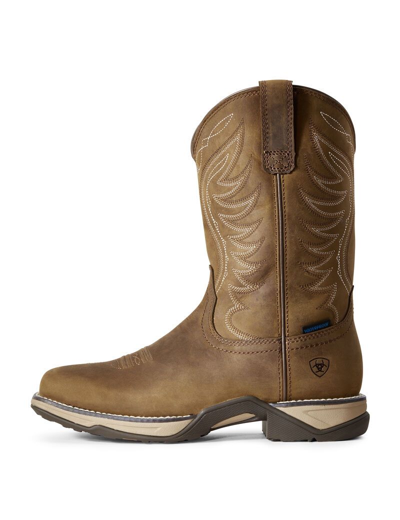 Bottes Western Ariat Anthem Imperméables Marron Femme | OXP-52585421