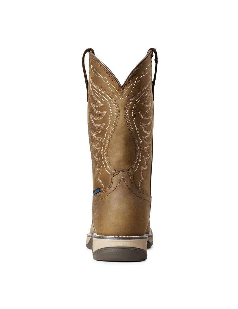 Bottes Western Ariat Anthem Imperméables Marron Femme | OXP-52585421