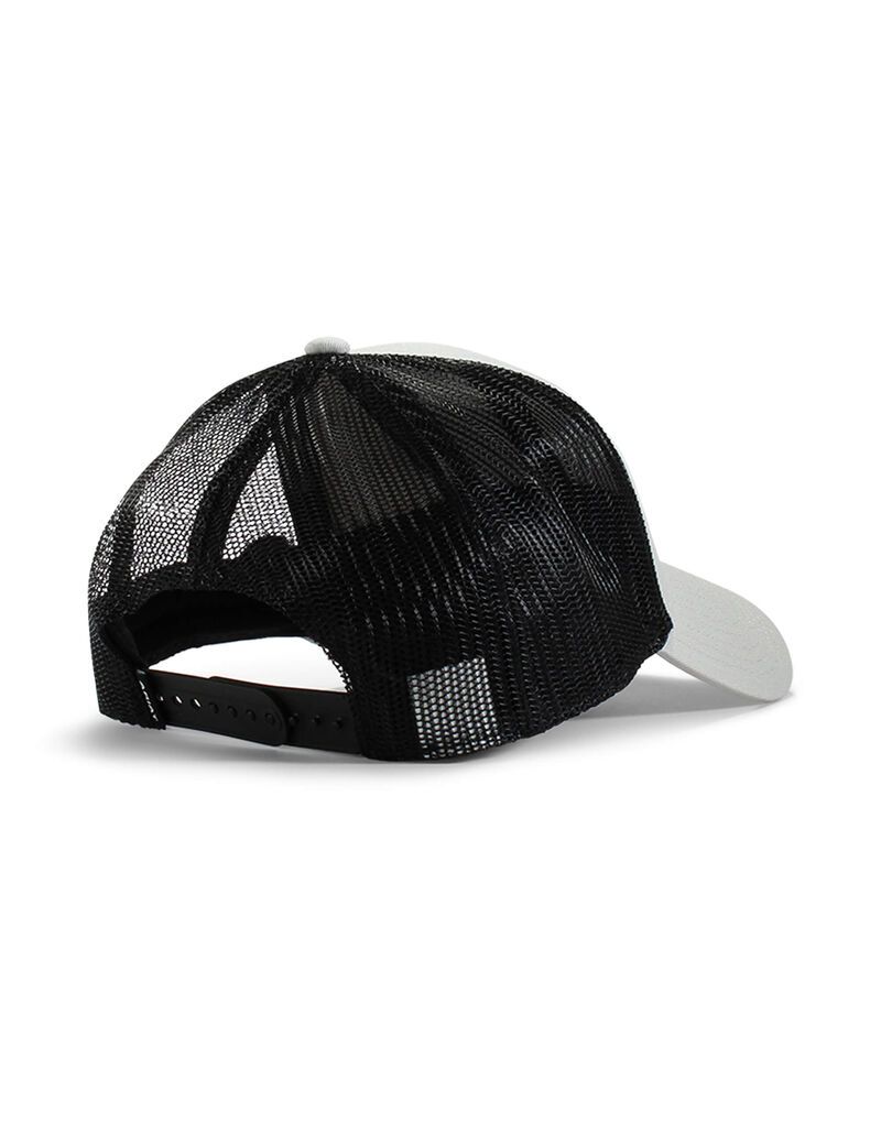 Casquettes Ariat Logo patch gry/multi Grise Homme | SWZ-44177584