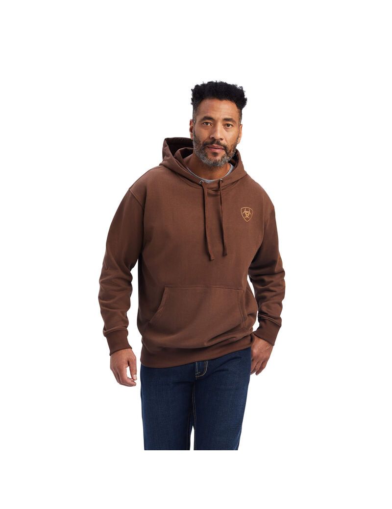 Sweat à Capuche Ariat Logo Marron Homme | HDL-70847703