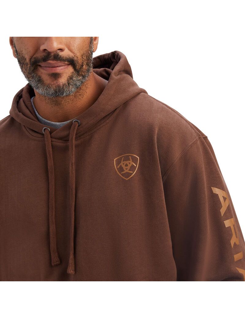 Sweat à Capuche Ariat Logo Marron Homme | HDL-70847703