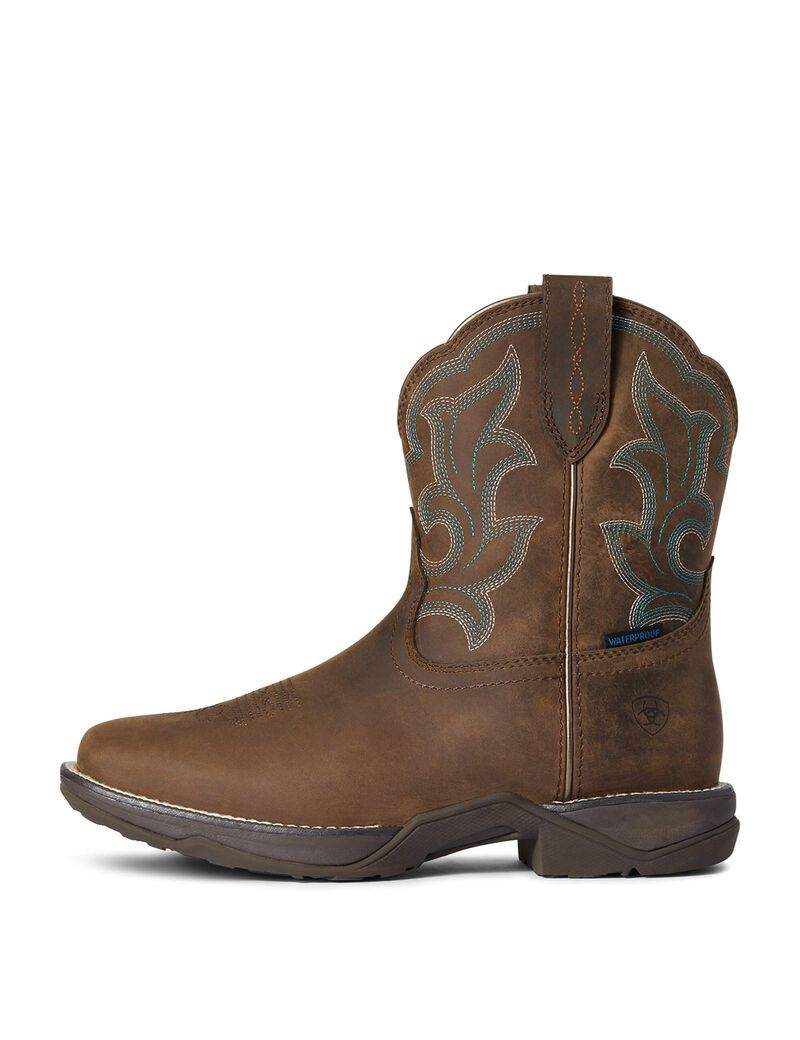 Bottes Imperméables Ariat Anthem Shortie II Western Marron Femme | LGE-57400241